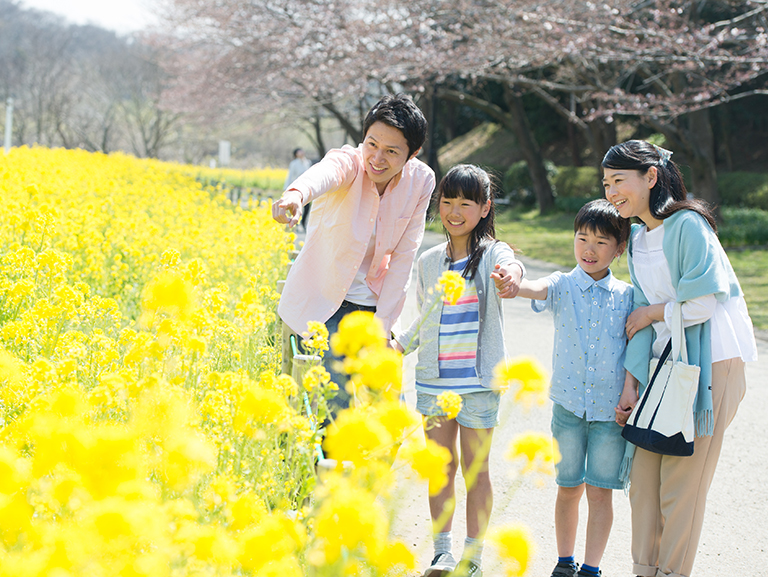 季節の節約シリーズ第2回<br>お得に楽しむ！春の節約レジャー